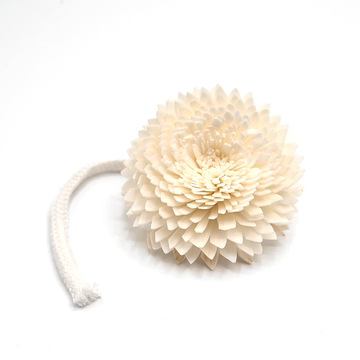 Diffuserbloem Anjer