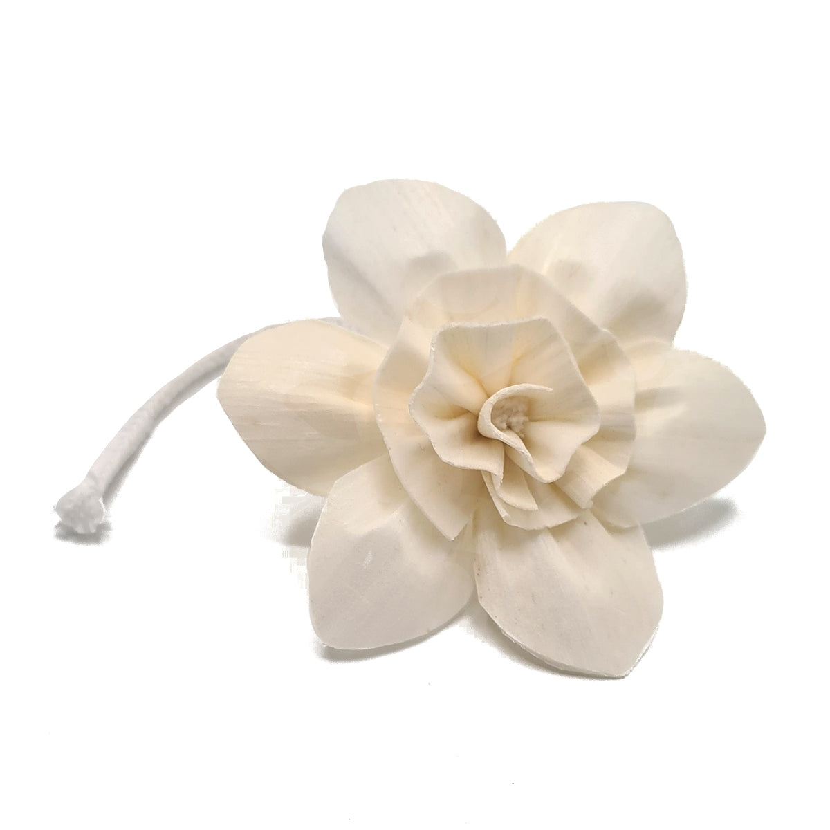 Diffuserbloem Lelie