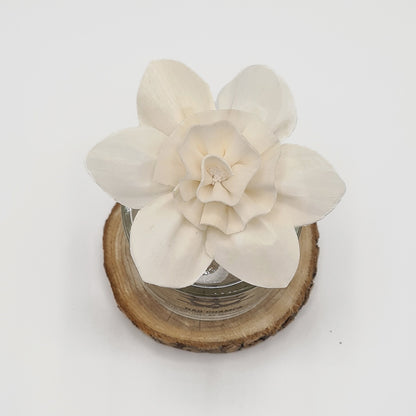 Diffuserbloem Lelie