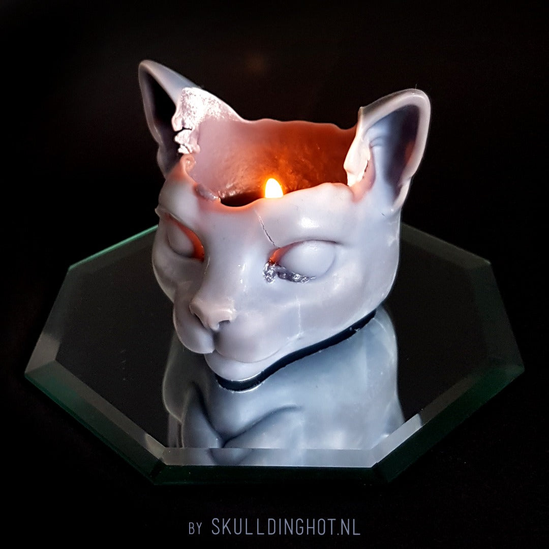 Kattenkaars oranje